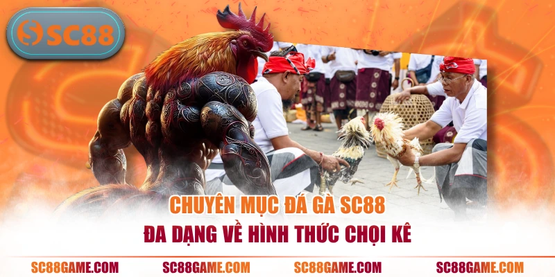 Chuyên mục đá gà SC88 đa dạng về hình thức chọi kê